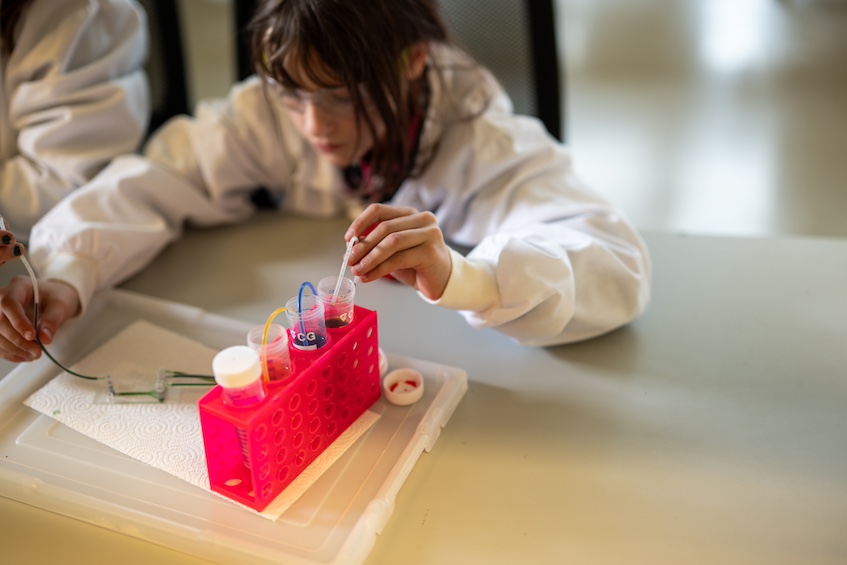 Students are given space to experiment and explore at their own pace.