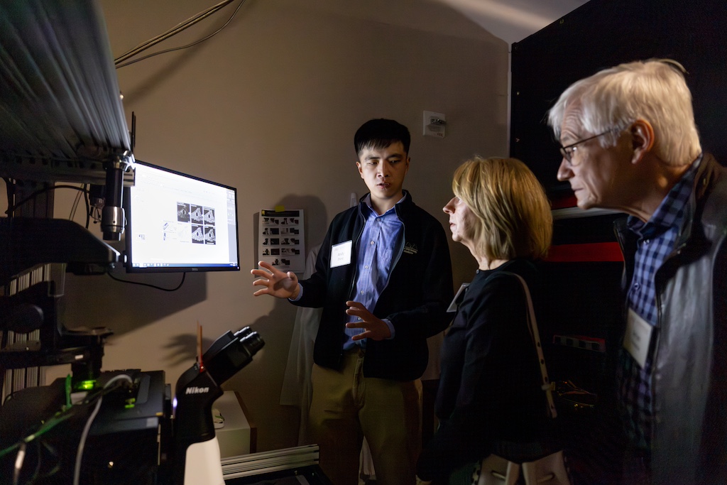 Graduate student Andy Zhang shows human heart muscle cells, grown from stem cells, beating together under a microscope.
