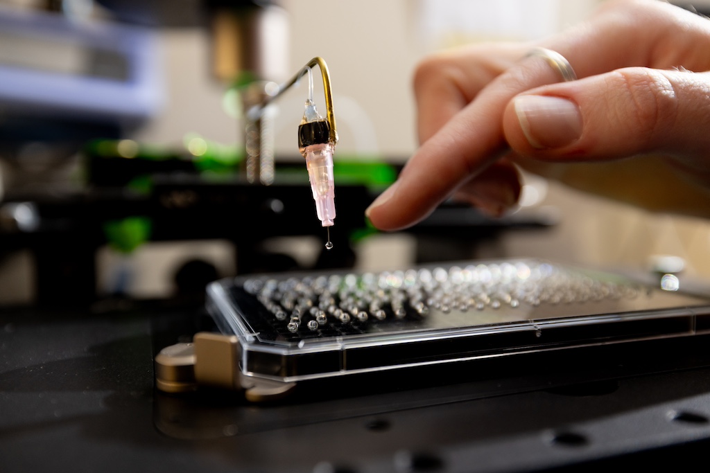 A drop of sample containing sorted cells.