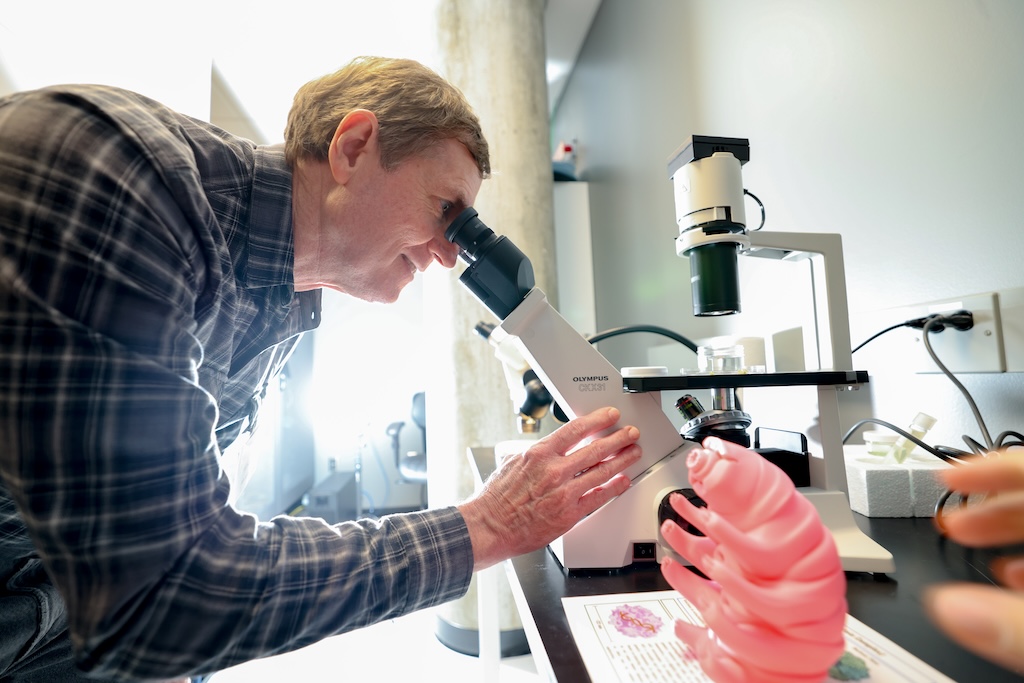 Participants observed live tardigrades under a microscope, comparing them to a 3D printed model as well as learning how cryo-EM can visualize deeper biological structures.