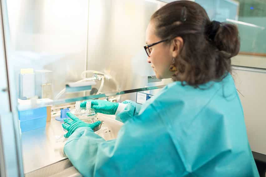 Assistant scientist Diana Marcela Tabima Martinez works on the bioreactor created to assist in the growth of engineered arteries.