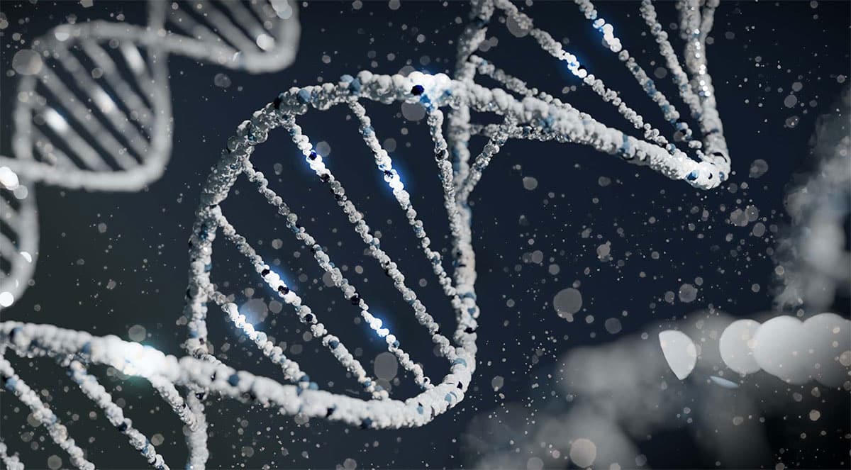 Computer rendering of DNA