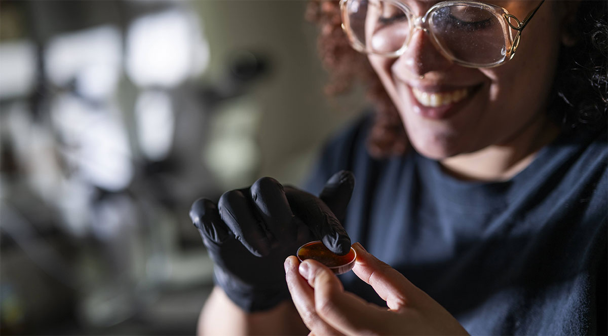 Odette Herrand, research specialist in the Drummond-Barbosa Lab, studies how a yeast diet impacts fly fertility.