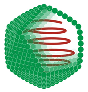 Icosahedral