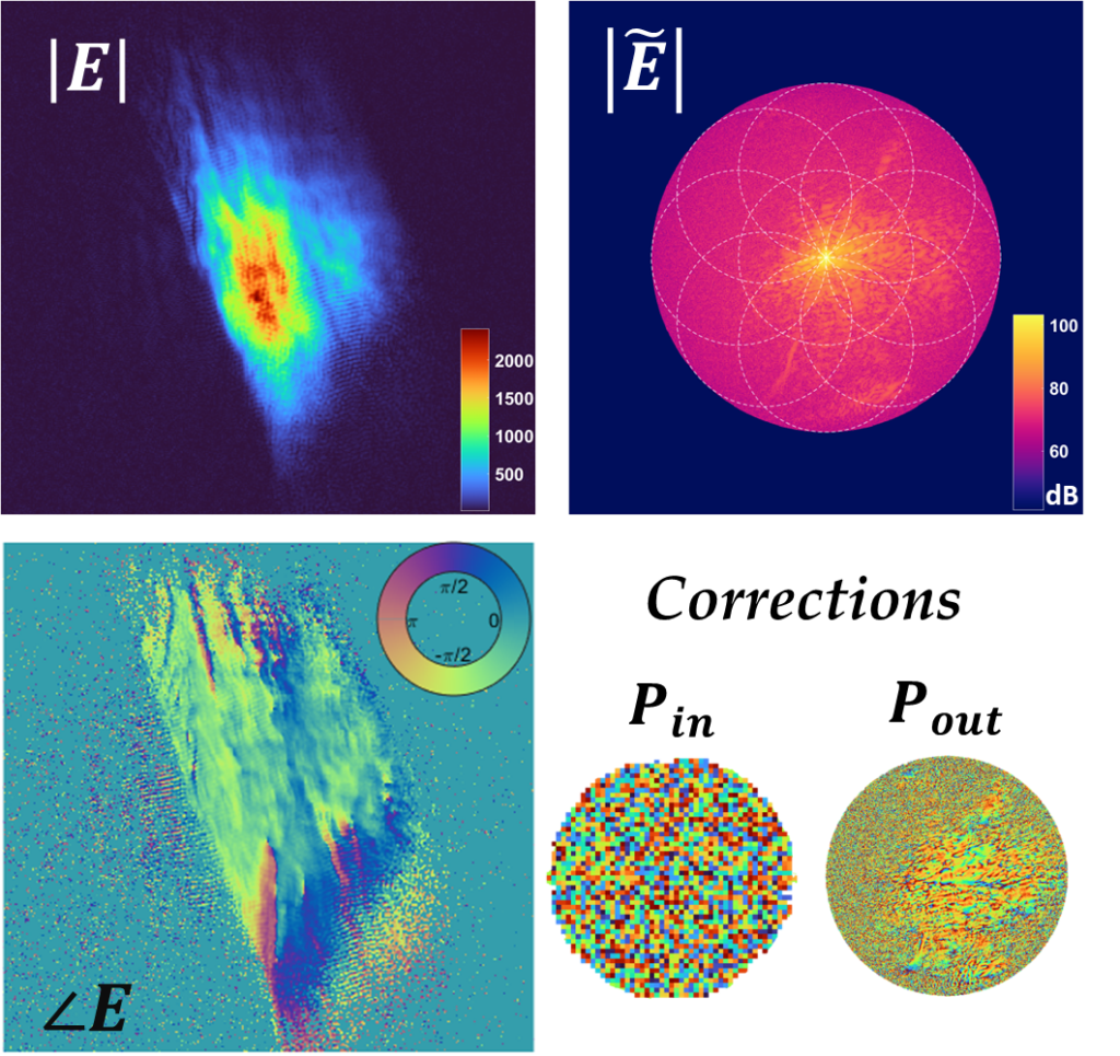 Aberration-free, synthetic aperture image of collagen with second harmonic generation (SHG) of rabbit tendon.