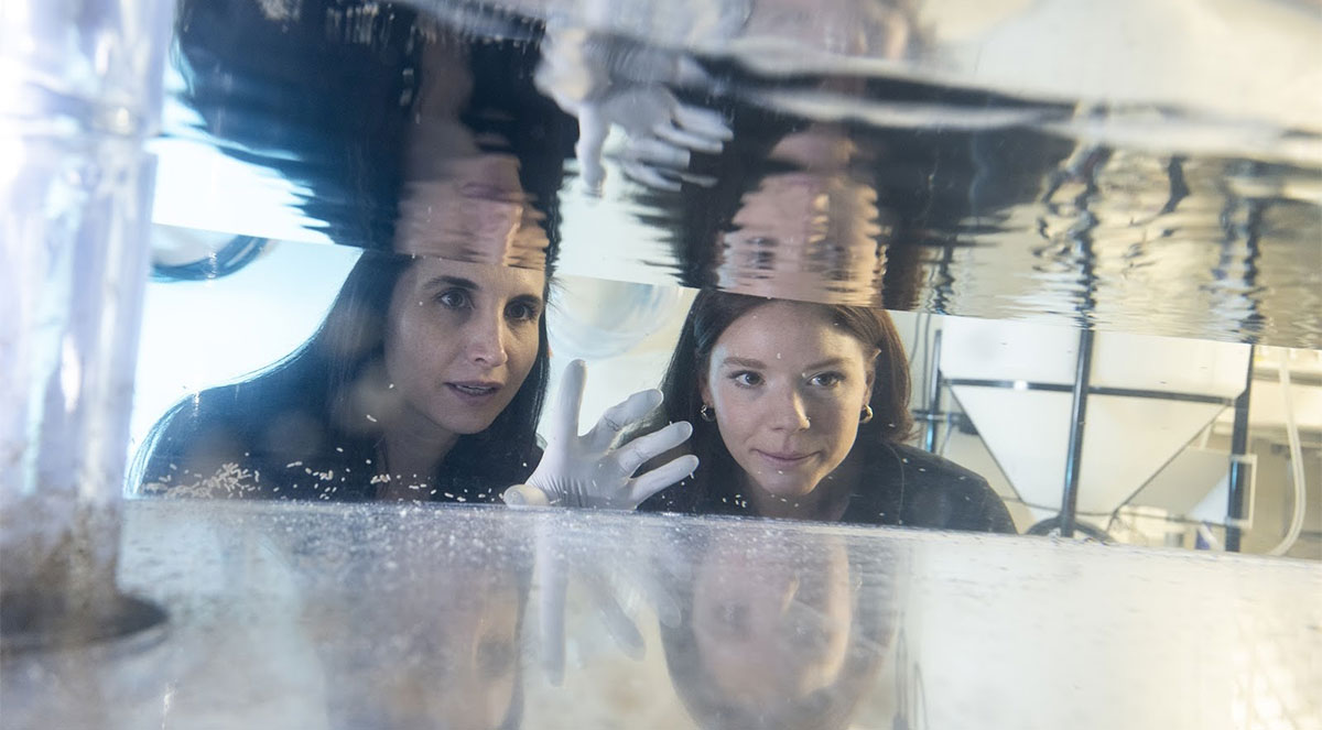 Scientists Melanie Issigonis and Katherine Browder peer into an aquarium.