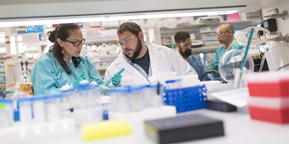 Scientists in a lab